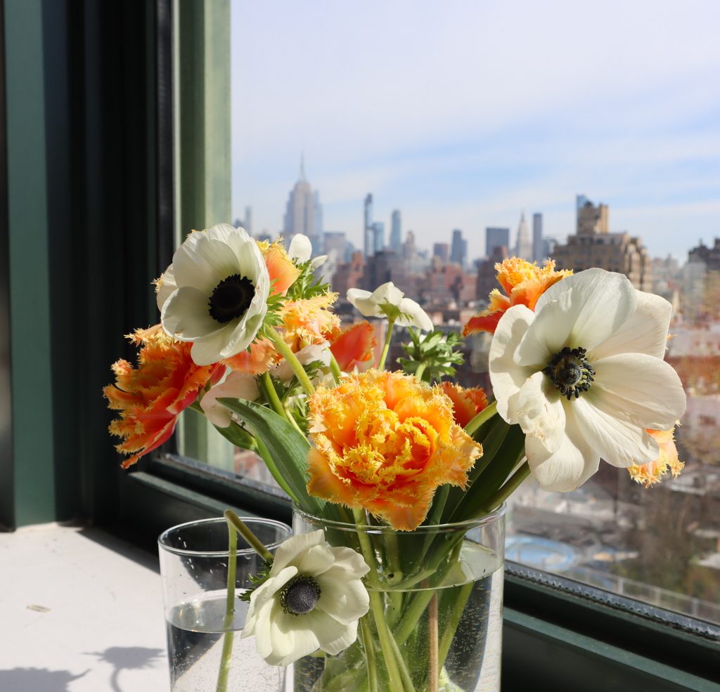 First Day of Spring — Blooming in Color